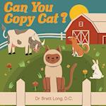 Can You Copy Cat? 