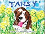 Tansy