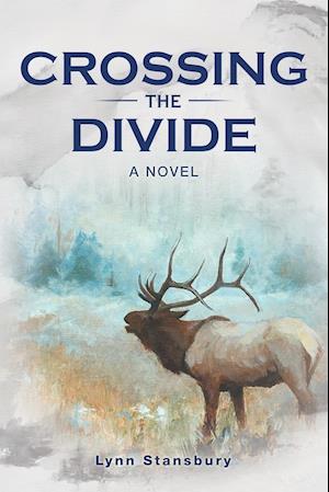 Crossing the Divide: A Novel