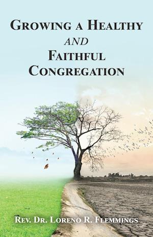 Growing a Healthy and Faithful Congregation