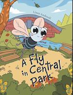 A Fly in Central Park 