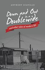 Down and out in a Doublewide and Other Tales of Modern Life 