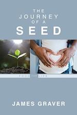 The Journey Of A Seed