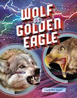 Wolf vs. Golden Eagle