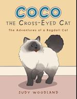 Coco the Cross-Eyed Cat