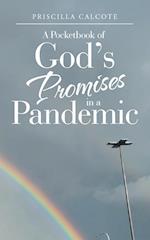 A Pocketbook of God's Promises in a Pandemic 