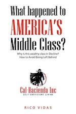 What happened to America's Middle Class?: Why is this wealthy class in Decline? How to Avoid Being Left Behind 