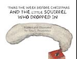 'Twas the Week Before Christmas and the Little Squirrel Who Dropped In 