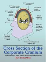 Cross Section of the Corporate Cranium