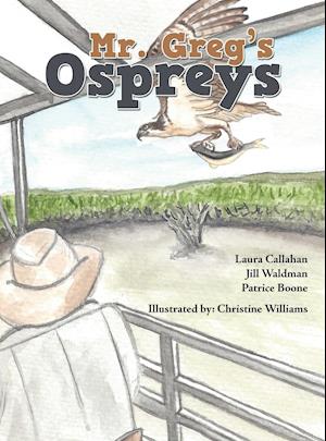 Mr. Greg's Ospreys