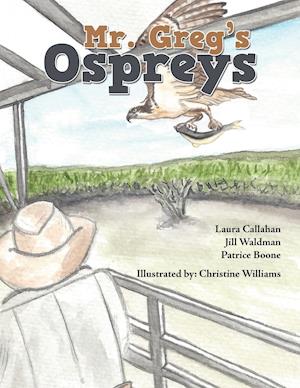 Mr. Greg's Ospreys