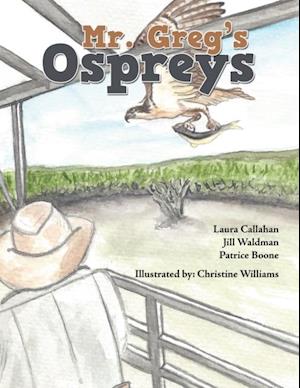 Mr. Greg's Ospreys