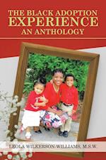 Black Adoption Experience an Anthology
