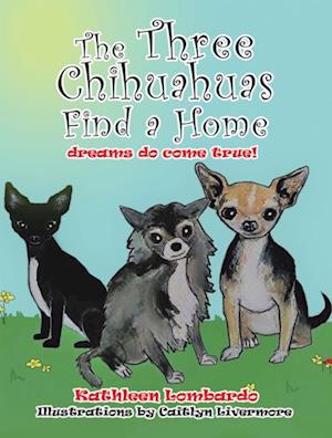 Three Chihuahuas Find a Home