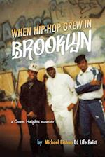 When Hip Hop Grew in Brooklyn 