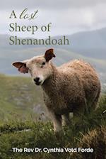 A Lost Sheep of Shenandoah