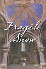 Fragile Snow 