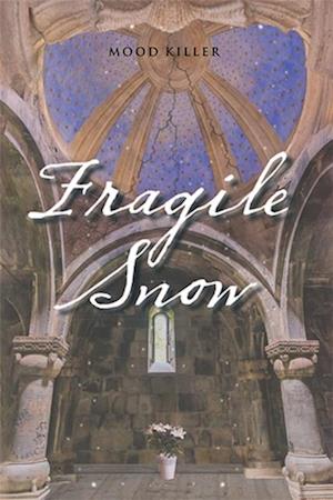 Fragile Snow