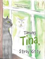 Taming Tina, the Stray Kitty