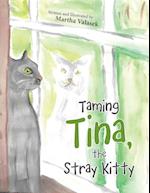 Taming Tina, the Stray Kitty 