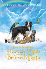 How to Recognize Heavenly Signs from Our Beloved Pets 