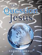 Why Question Jesus 