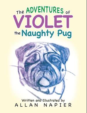 Adventures of Violet the Naughty Pug