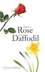 From a Rose to a Daffodil 