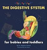 The Digestive System for Babies and Toddlers