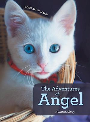 The Adventures of Angel