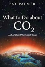 What to Do About Co2