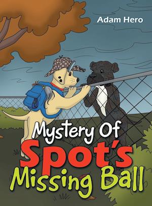 Mystery Of Spot's Missing Ball