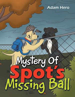 Mystery Of Spot's Missing Ball