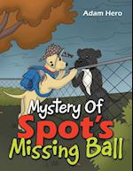 Mystery Of Spot's Missing Ball 