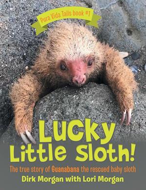 Lucky Little Sloth!