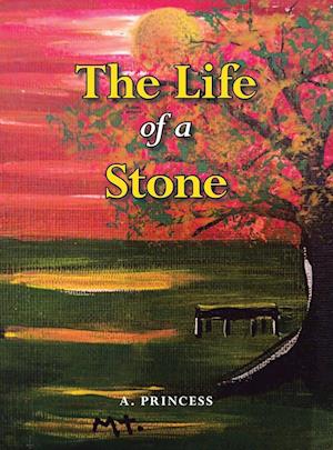 The Life of a Stone