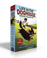 Life in the Doghouse Pawsome Collection