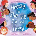 Hooray for She, He, Ze, and They!