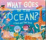 What Goes in the Ocean?