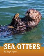 Sea Otters