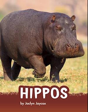 Hippos