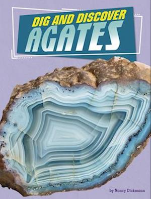 Dig and Discover Agates