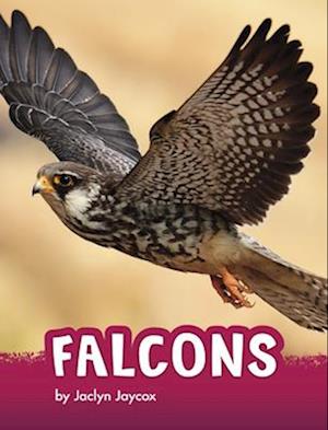 Falcons