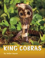 King Cobras