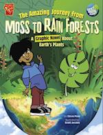 The Amazing Journey from Moss to Rain Forests