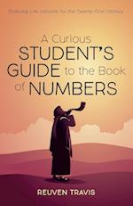 A Curious Student's Guide to the Book of Numbers 
