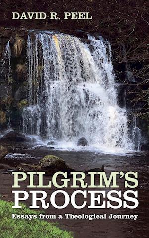 Pilgrim's Process