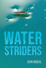Water Striders 