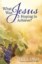 What Was Jesus Hoping to Achieve? 