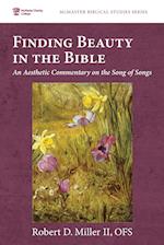 Finding Beauty in the Bible 